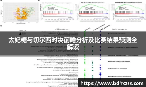 太妃糖与切尔西对决前瞻分析及比赛结果预测全解读